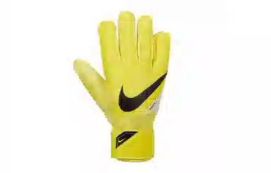 Nike Goalkeeper Match