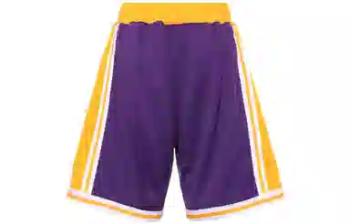 Mitchell & Ness Lakers 96-97 Purple