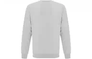 Reebok Classic Logo Crewneck Sweatshirt Grey