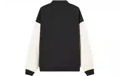 Champion FW23 Rochester