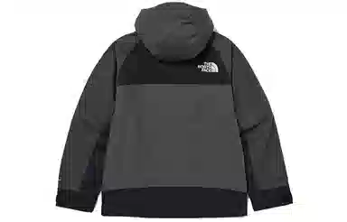 The North Face Logo Softshell Hoodie