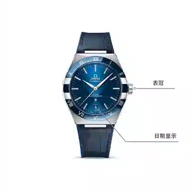 OMEGA 41mm 131.33.41.21.03.001