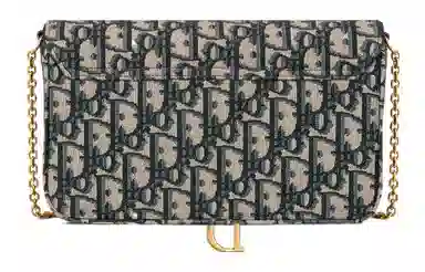 Dior Oblique Clutch