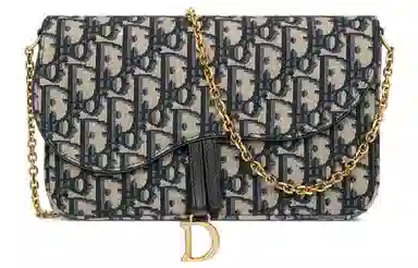 Dior Oblique Clutch