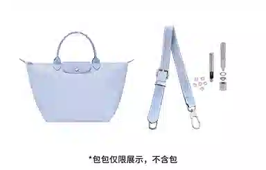 hobo longchamp
