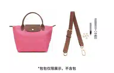 hobo longchamp