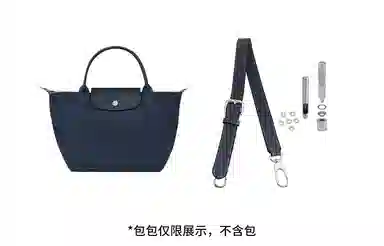hobo longchamp