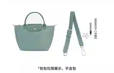 hobo longchamp