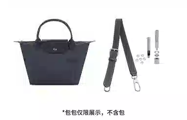 hobo longchamp