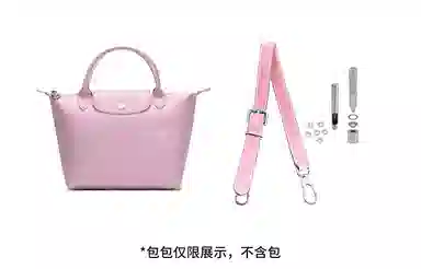 hobo longchamp