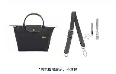 hobo longchamp