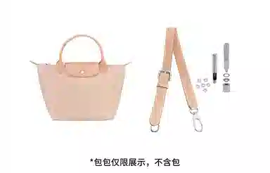 hobo longchamp