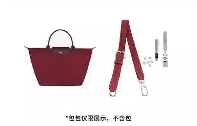 hobo longchamp