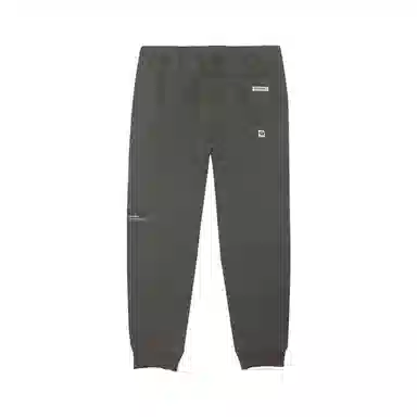 Aape