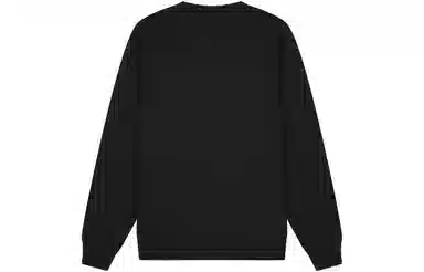 Champion FW23 Rochester Logo