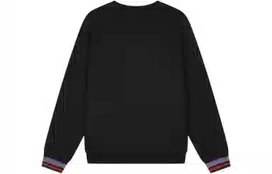 Champion FW23 Rochester Logo