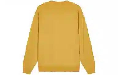 Champion FW23 Rochester Logo