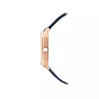 EMPORIO ARMANI 24mm AR11466