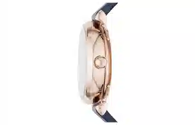 EMPORIO ARMANI AR60020