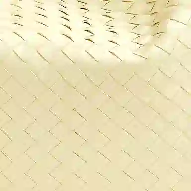 Bottega Veneta Intrecciato