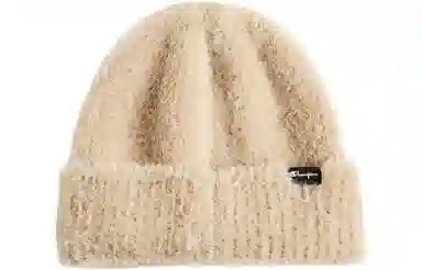 Champion Beanie