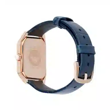 EMPORIO ARMANI 24mm AR11466