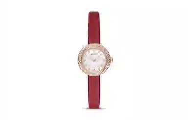 EMPORIO ARMANI 26mm AR11475