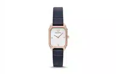 EMPORIO ARMANI 24mm AR11466