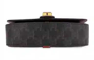 CELINE Triomphe Canvas Mini Bag