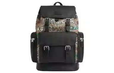 COACH x Mint + Serf Backpack 29