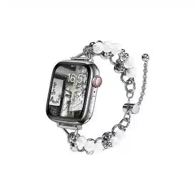 biaodaige apple watchiwatch