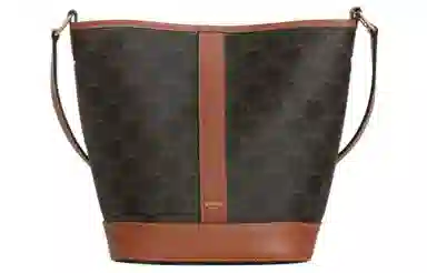Celine Triomphe Bucket Bag Brown