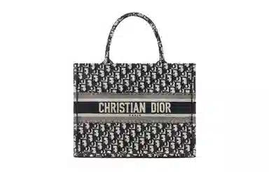 DIOR BookTote Oblique Tote