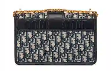 DIOR 30 Montaigne Oblique