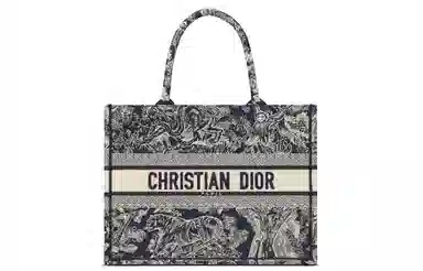 Dior Book Tote Blue