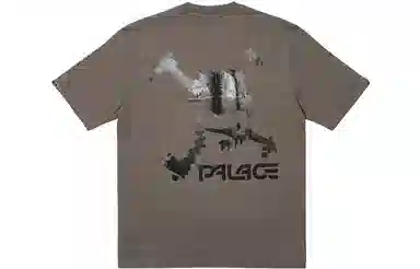 PALACE x Oakley T
