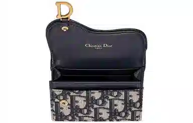 DIOR Saddle