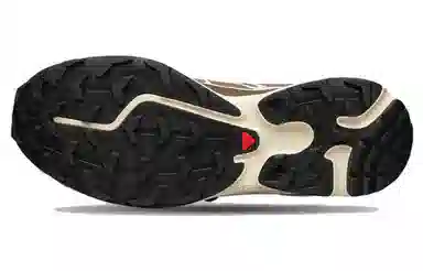 SALOMON XT-6