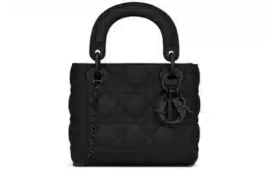 DIOR Lady Dior