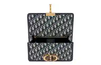 DIOR 30 Montaigne Oblique