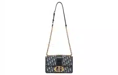 DIOR 30 Montaigne Oblique