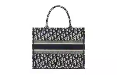 DIOR BookTote Oblique Tote
