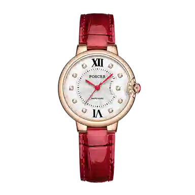 POSCER ins 50113L.REW