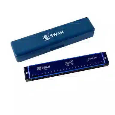 SWAN 24C)