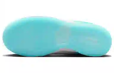 Serena Williams x Nike Dunk Disrupt 2