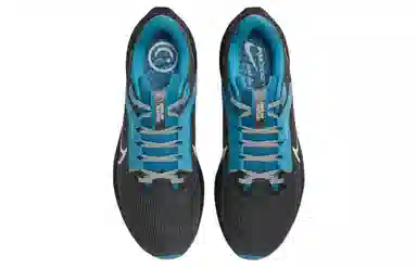 Nike Air Zoom Pegasus 40