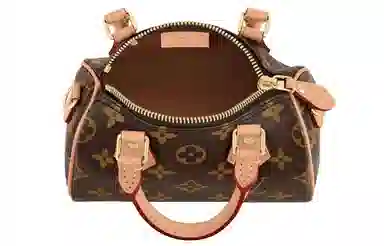 Louis Vuitton Speedy Nano