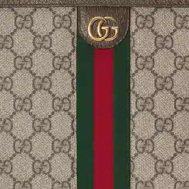 Gucci Ophidia