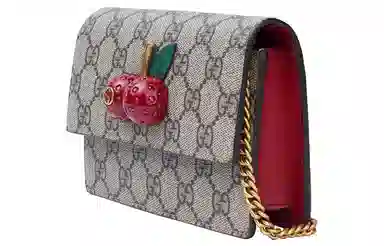 Gucci Chain Bag