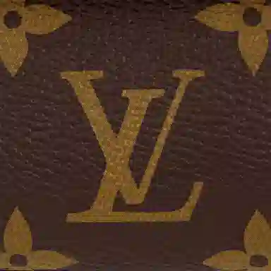 LOUIS VUITTON IVY